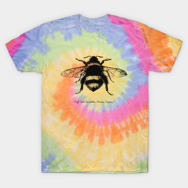 Bumblebee - Illustration in black T-Shirt by Off the Page